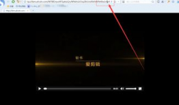 视频转链接,精彩内容速览